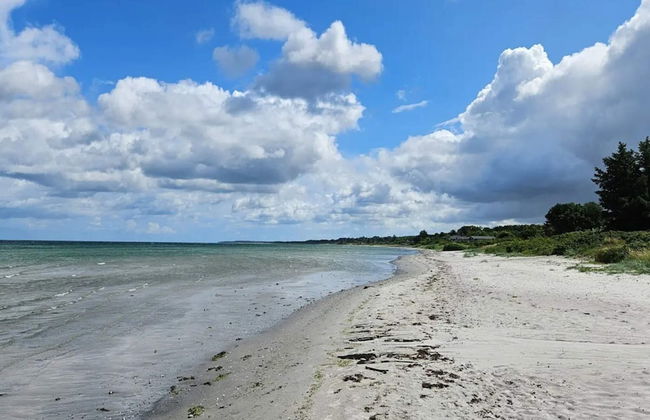 5 Person Holiday Home in Allingabro - Foto 32