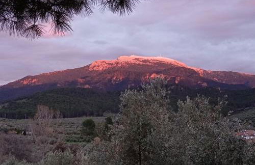 La Tiná Nueva - Foto 61