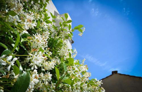 Luxury Apartment Pantheon - Foto 47