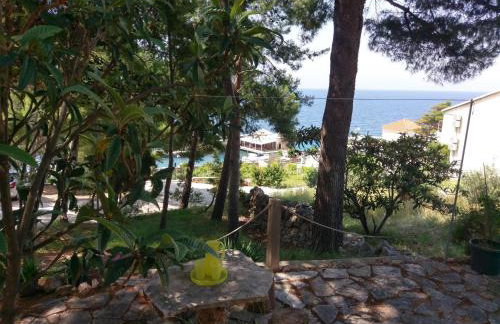 Apartmani Marija - Foto 39