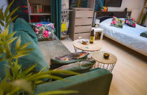 Jungle Studio - 2P à 4P -Henriville - Foto 15