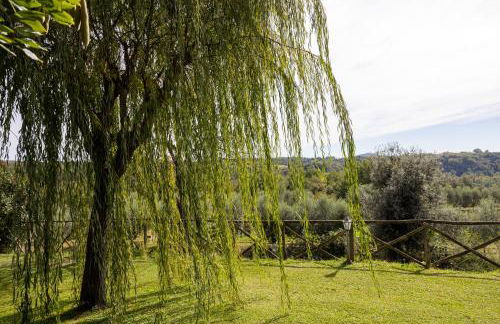 Agriturismo La Collina - Foto 36