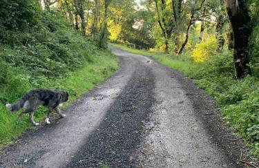 The Burrow - Foto 34