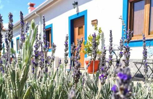 Quinta da Idalina - Foto 39