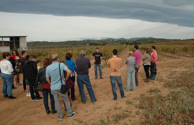 Casa Nuri de Rei La Pobla Tornesa - Foto 16