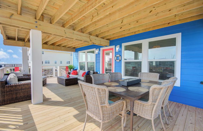 Birds of Paradise - Foto 2