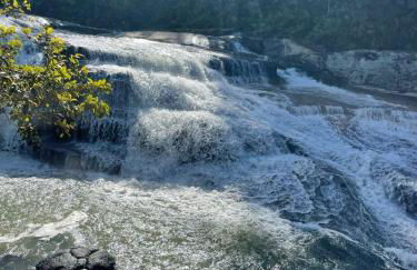 Sítio em São Pedro de Alcântara - Foto 9