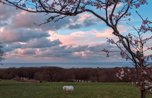 The Pod Fabulous glamping pod near Snowdonia. - Photo 17