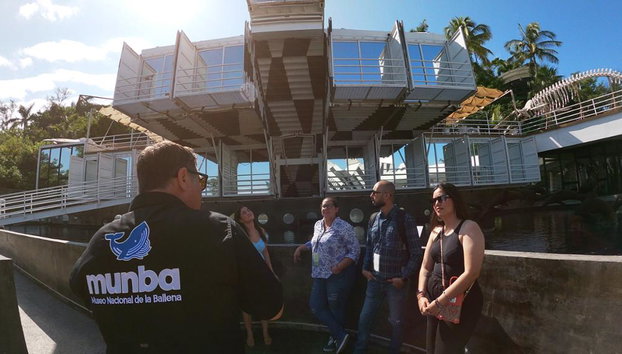 Munba: Museo Nacional de la Ballena - Tour - Foto 2