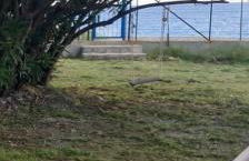 Casetta 28 passi dal mare - Foto 6