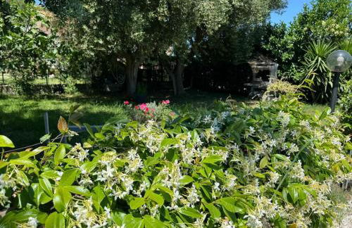 Casa 22 Paestum - Foto 35