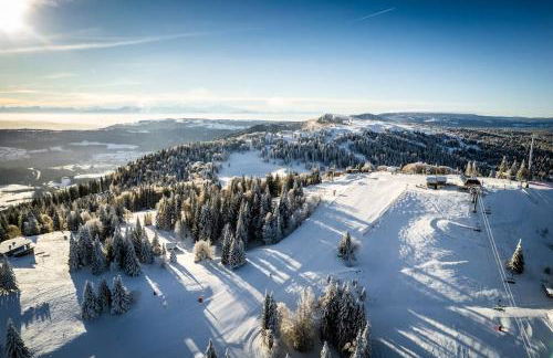 Beau Duplex, au bord du lac Saint-Point - Foto 19