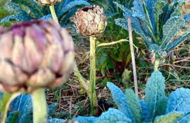 Tenuta Di Paternostro - Foto 39