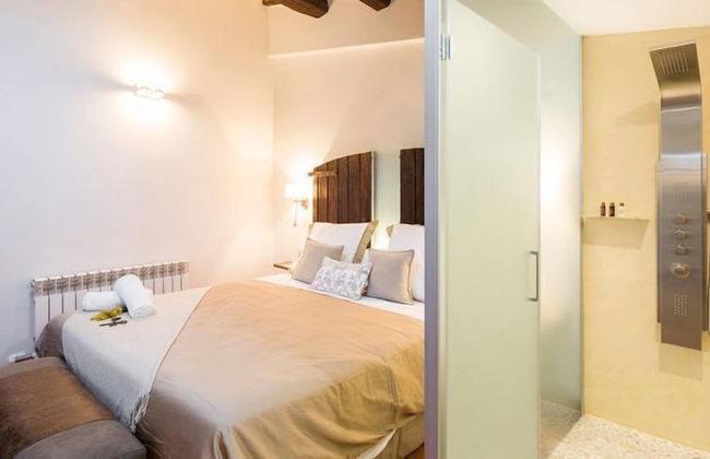 Masia Can Canyes & Spa - Foto 22