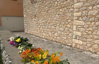 Flame Yard - Foto 18