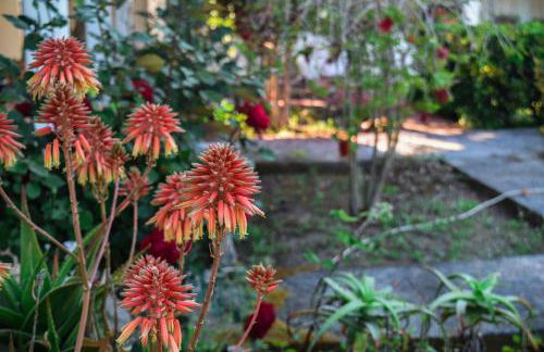 Mirsini Apartments - Foto 24