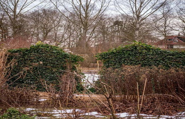 Private Chalet in the Woods - Photo 33