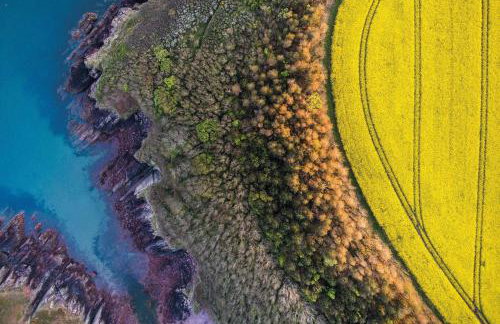 Teilo - 1 Bedroom - St Ishmael's - Foto 50