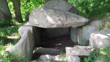 Das Rügenhaus - Foto 4