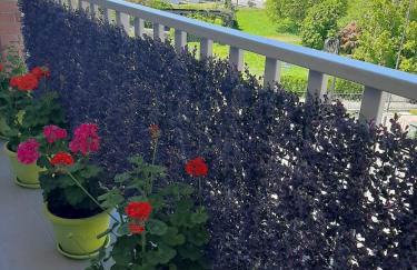 Casa Mario, In The Heart Of Asti - Foto 11