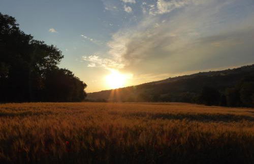 Pietre di Fiume - Foto 78