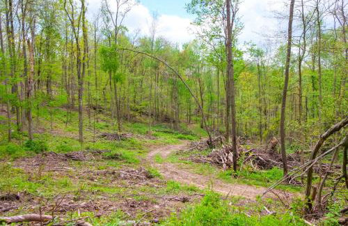 Cabin with Trail Access to Mohican River - Foto 21