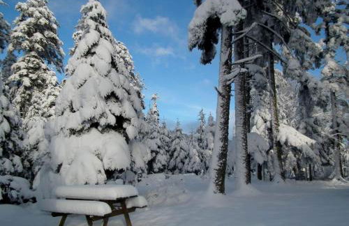 Holiday Home Das Gîte Fleuri mit einer herrlichen Aussicht by Interhome - Foto 18