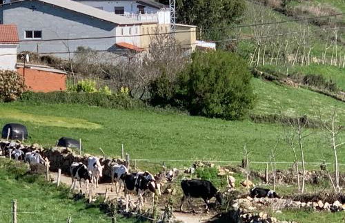 C'Genoveva Complejo Turistico Rural CaleaCabo - Foto 63