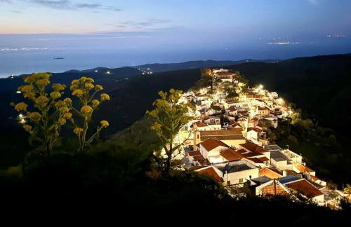 Ioulis Century Home - Photo 77