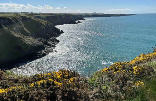 Cuddfan Fach - Pembrokeshire Stunning Barn near the Coastal Path - Foto 20