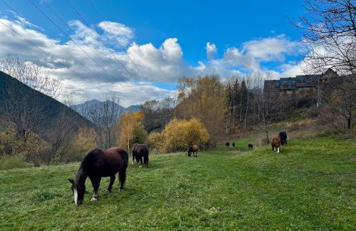 Mirador de la Neu - Foto 26