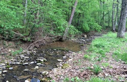 Peaceful Historic Villa with Hot Tub & Pool near Downtown Nashville, Tennessee - Photo 56