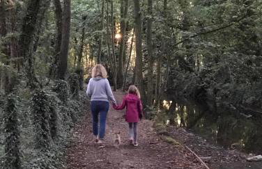 Carp's Rise Cottage - Foto 18