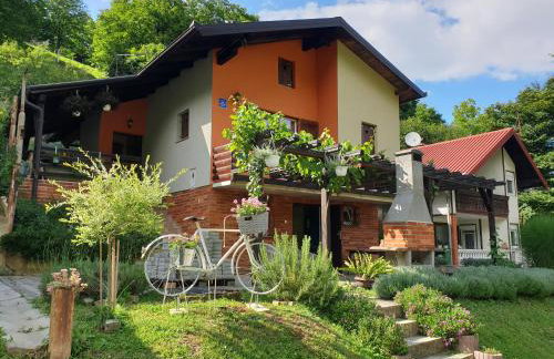 Vila Ema-kuća za odmor - Foto 2