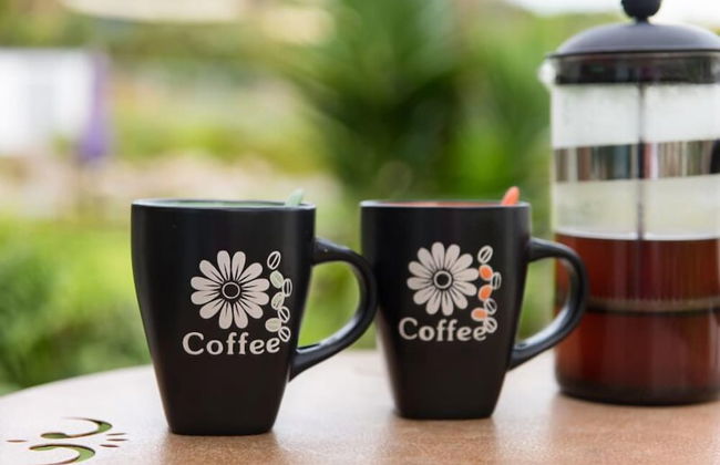 Russell - Orongo Bay Holiday Park - Photo 51