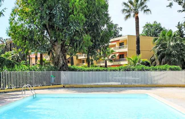 Les Eucalyptus - Foto 2