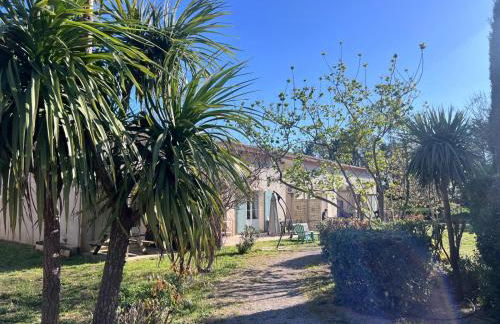 Gabin sous les Oliviers - Foto 25