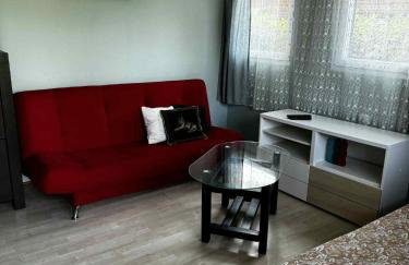 Domek nad jeziorem Mausz - Foto 5