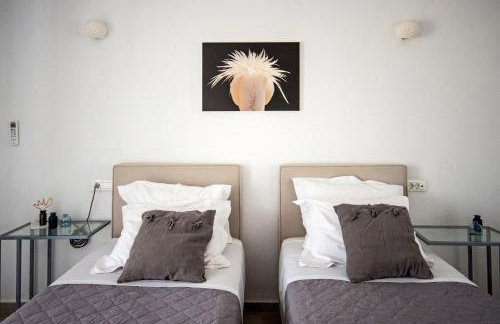 Villa Artemis (Agios Lazaros, Psarou) - Foto 43