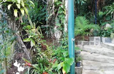 Villa Félix Suites e Chalés - Foto 4