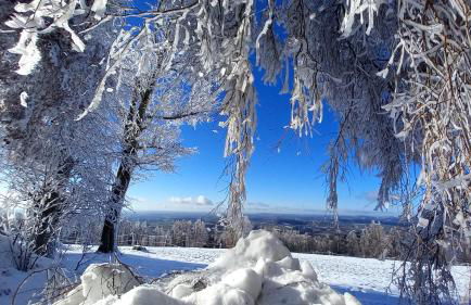 Berg-Panorama-Ferienwohnungen Gut-Lichtenau - Foto 76