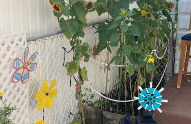 BEACH COTTAGE 2nd HOUSE FROM BEACH - Foto 21