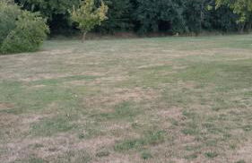 Maison Normande - Le Mesnil en Ouche - Foto 17