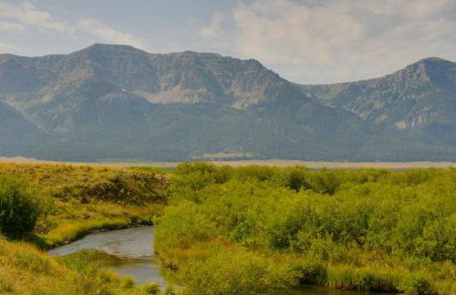 Cozy Henrys Lake Escape - 20 Miles to Yellowstone! - Foto 34