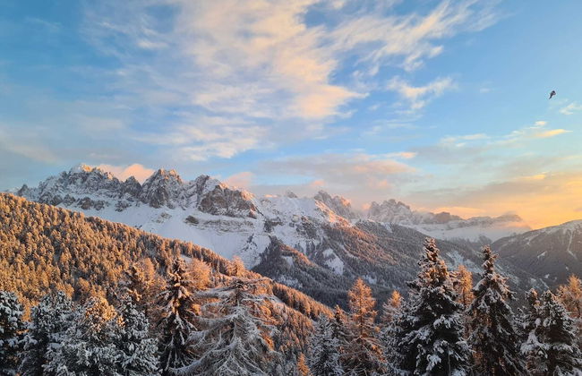 PLOSE Parkhotel & Residence - Foto 29