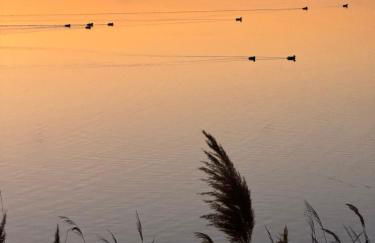 Mar Blau Estartit Rental - Foto 10