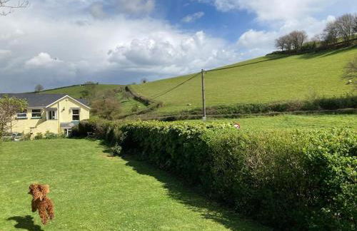 Charming Countryside Cottage Ground Floor Apartment in Combeinteignhead Devon - Foto 7