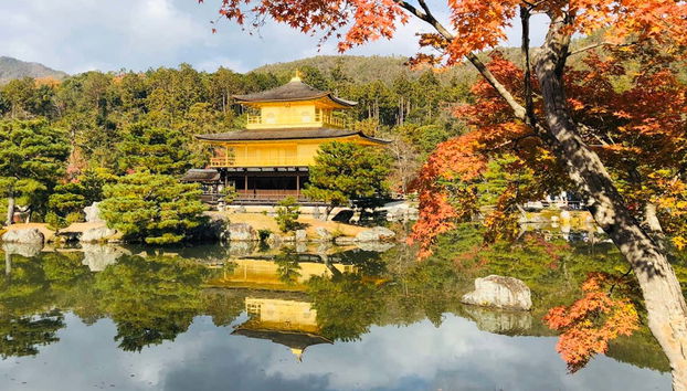 Visita guiada por Kioto - Foto 2