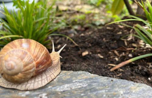 FeHaus Weltwald Harz - Foto 12