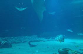 Proche Nausicaa, gare & remparts, spacieuse maison 3 chambres, cour privée, parking gratuit & adaptée aux vélos - Foto 63